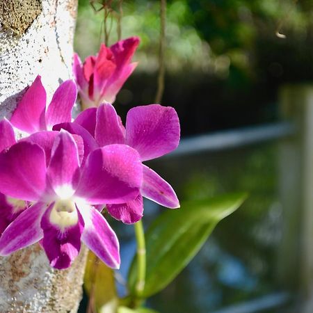 Nguyen Shack - Mekong Кантхо Екстер'єр фото